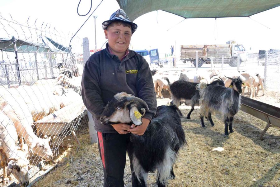 Meram Kurban Bayramına Hazır