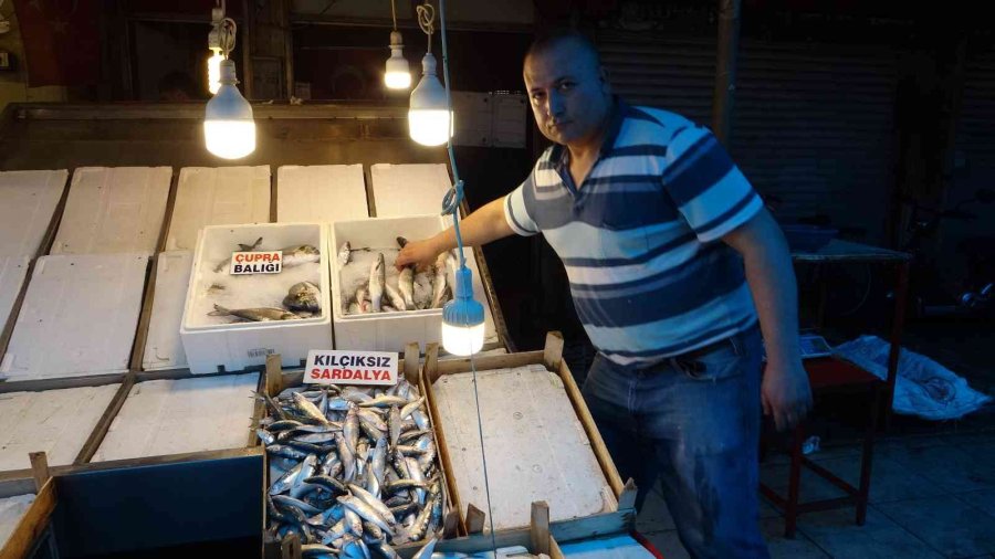 Av Yasağından Sonra Tezgahlar Boş Kaldı, ’sardalya’ Vatandaşın Vazgeçilmezi Oldu