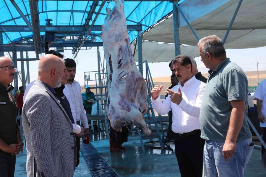Kocasinan’da Kurban Kesim Ve Satış Yeri İncelendi