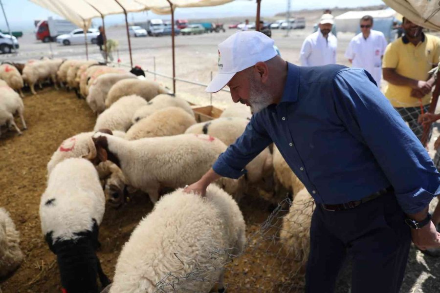 Kocasinan’da Kurban Kesim Ve Satış Yeri İncelendi