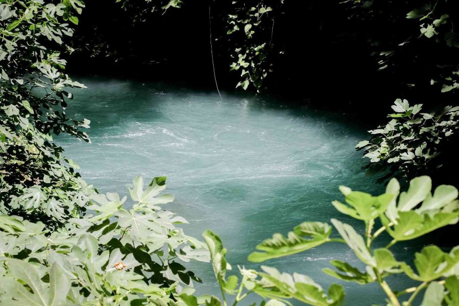 Korona Virüs Şüphelisi Yarasalardan Elde Edilen Gübre Düden Şelalesi’ne İlaç Oldu