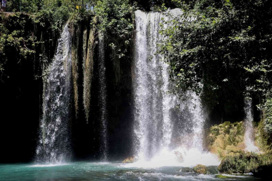 Korona Virüs Şüphelisi Yarasalardan Elde Edilen Gübre Düden Şelalesi’ne İlaç Oldu