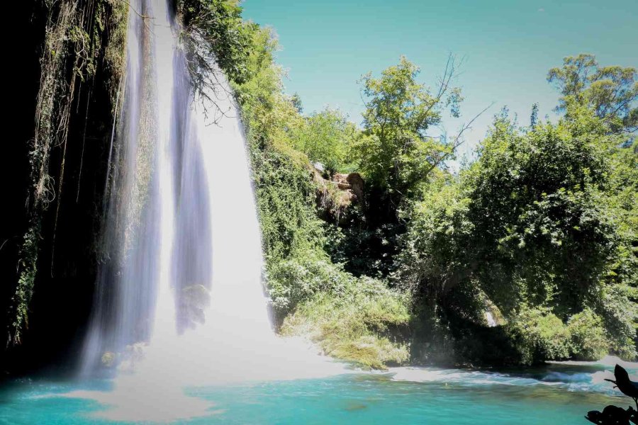 Korona Virüs Şüphelisi Yarasalardan Elde Edilen Gübre Düden Şelalesi’ne İlaç Oldu