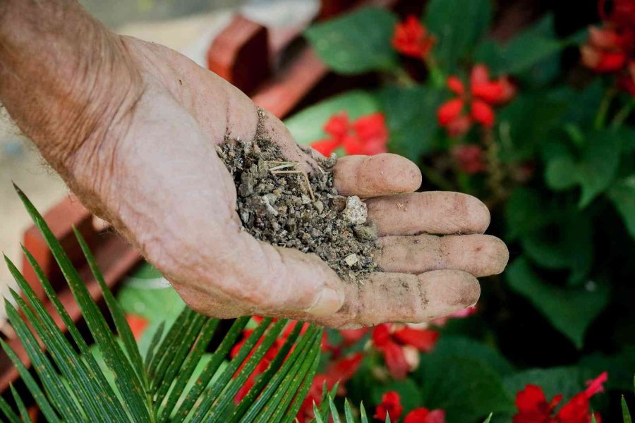 Korona Virüs Şüphelisi Yarasalardan Elde Edilen Gübre Düden Şelalesi’ne İlaç Oldu