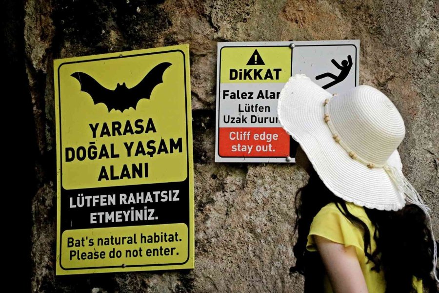 Korona Virüs Şüphelisi Yarasalardan Elde Edilen Gübre Düden Şelalesi’ne İlaç Oldu