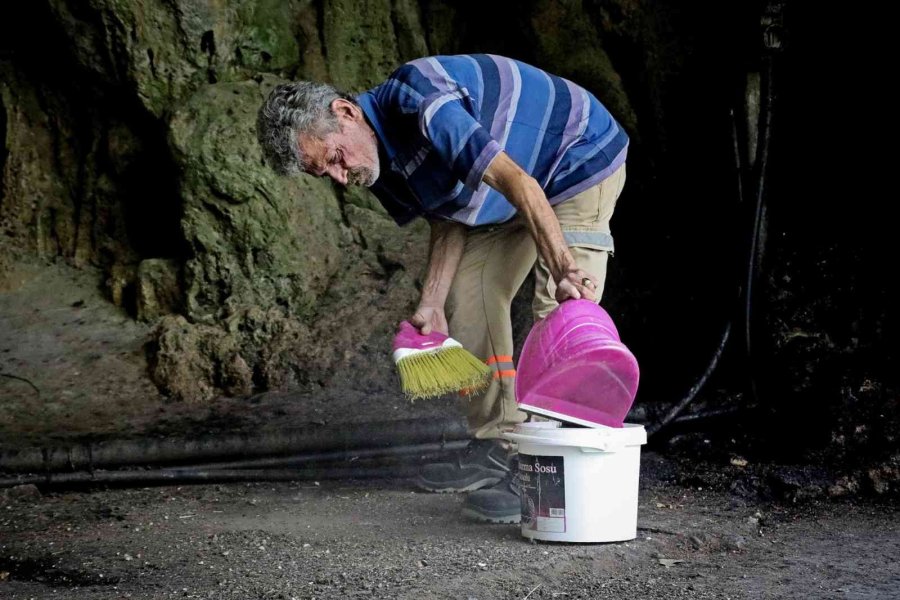 Korona Virüs Şüphelisi Yarasalardan Elde Edilen Gübre Düden Şelalesi’ne İlaç Oldu