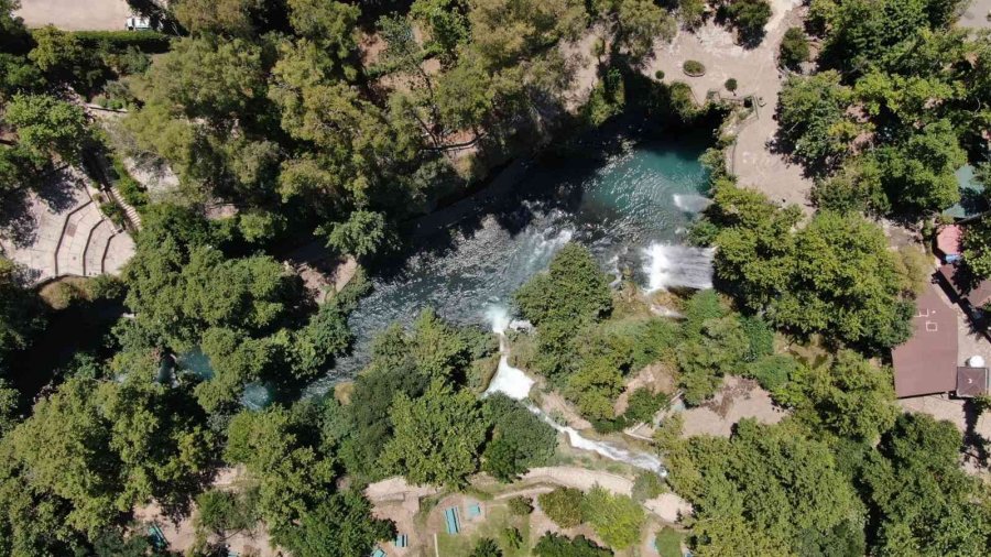 Korona Virüs Şüphelisi Yarasalardan Elde Edilen Gübre Düden Şelalesi’ne İlaç Oldu