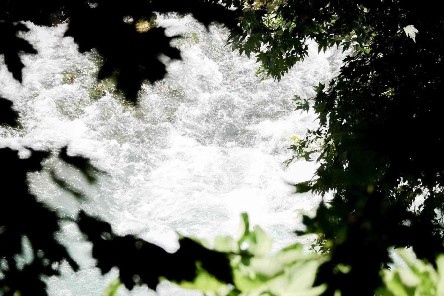 Korona Virüs Şüphelisi Yarasalardan Elde Edilen Gübre Düden Şelalesi’ne İlaç Oldu