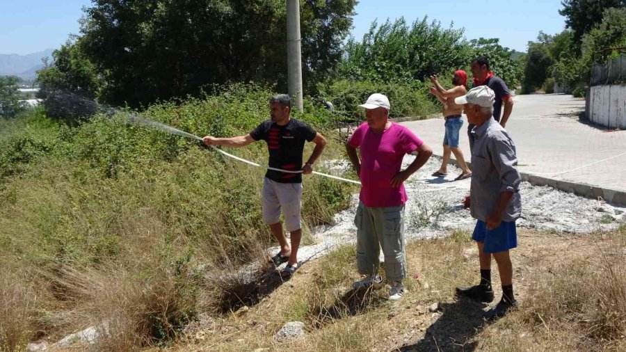 Elektrik Tellerine Çarpan Kuş Yangına Sebep Oldu