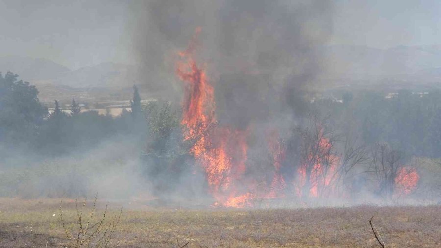 Elektrik Tellerine Çarpan Kuş Yangına Sebep Oldu
