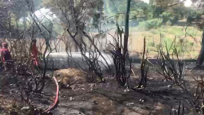 Serik’te Çıkan Orman Yangını Büyümeden Söndürüldü