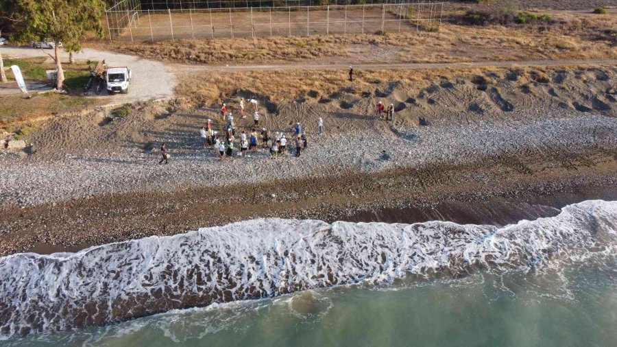 Mersin’de 4 Bine Yakın Caretta Caretta Yuvası Tespit Edildi