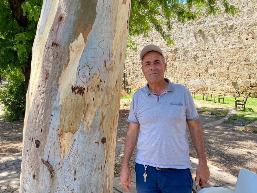 Tarihi Hadrianus Kapısı’nın Yanında Bulunan Asırlık Okaliptus Ağacına ’aşk’ Tahribatı