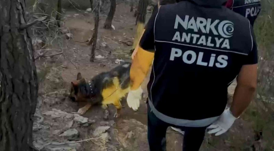Polisin Otomobille Yolunu Kestiği Uyuşturucu Tacirleri Ormanda Kovalamacayla Yakalandı