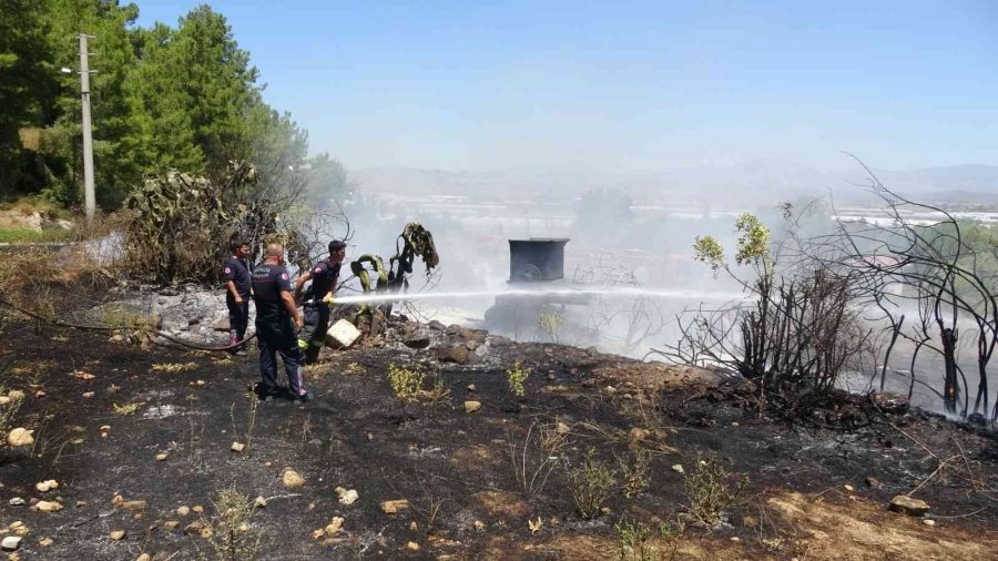 Elektrik Tellerine Çarpan Kuş Yangına Sebep Oldu