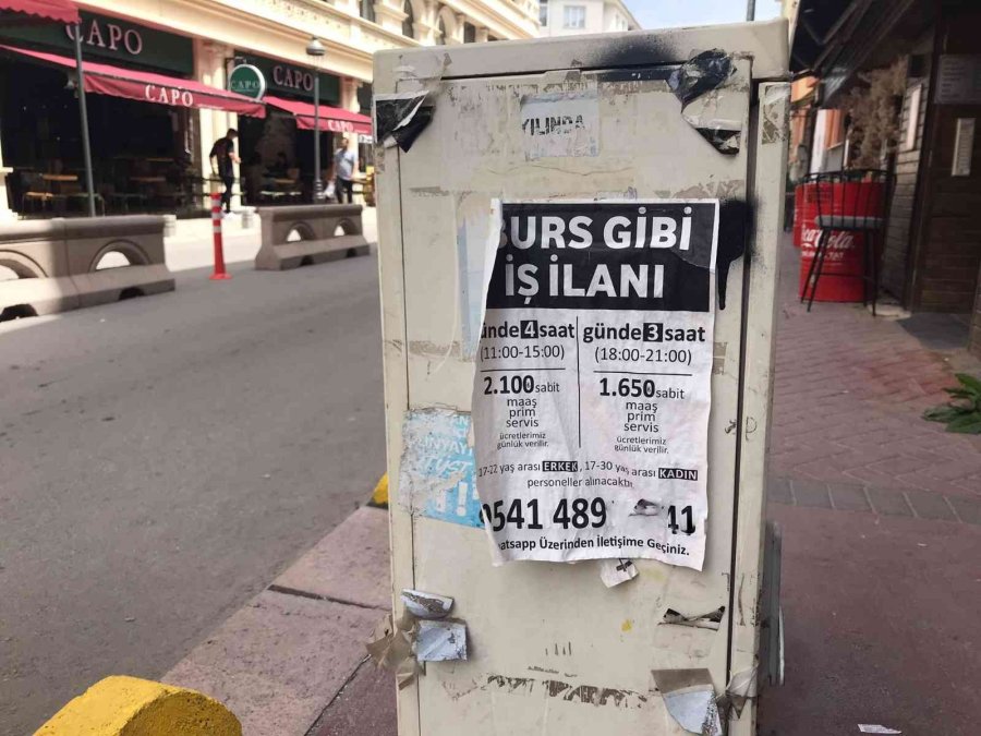 Gizemli İş İlanı Afişleri Tüm Sokakları Sardı