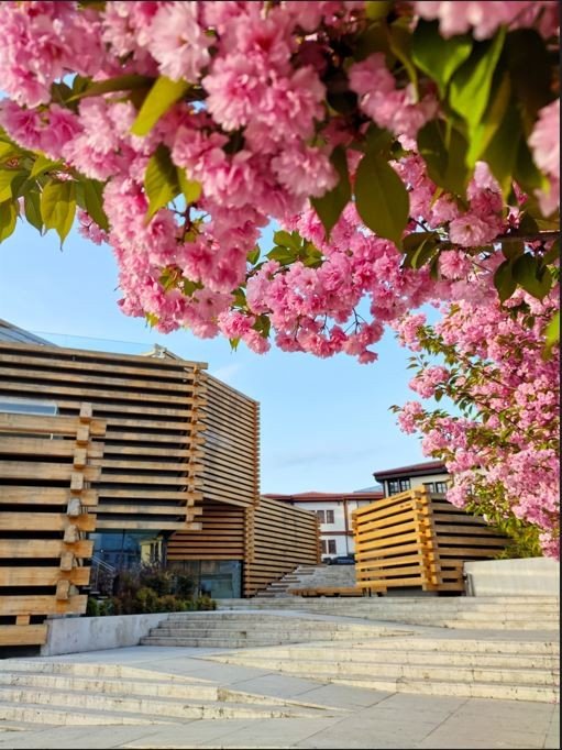 Çektiği Fotoğraflarla Türkiye’yi Dünyaya Tanıtıyor