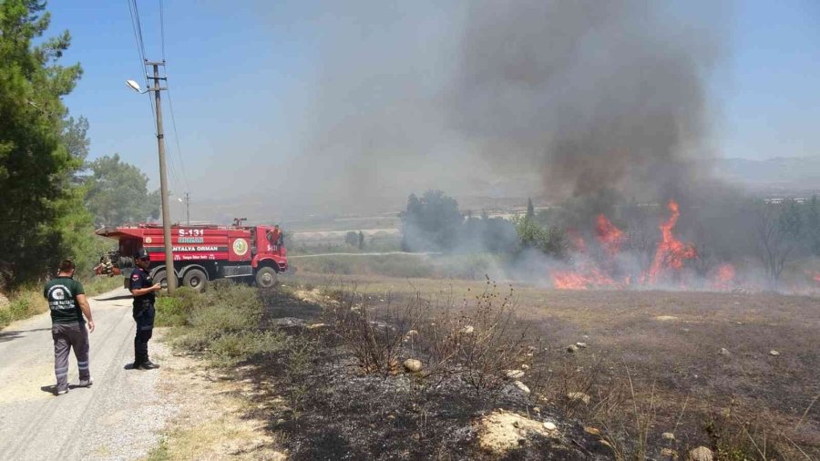 Elektrik Tellerine Çarpan Kuş Yangına Sebep Oldu