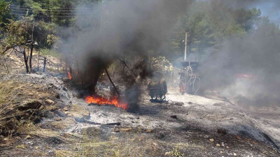 Elektrik Tellerine Çarpan Kuş Yangına Sebep Oldu