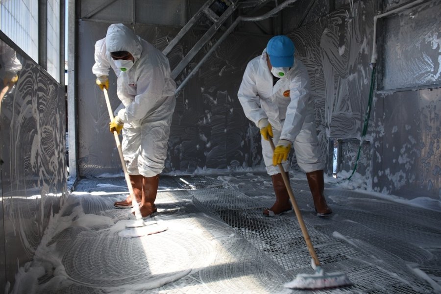 Kocasinan’dan 12 Ayrı Noktada Profesyonel Kurban Hizmeti