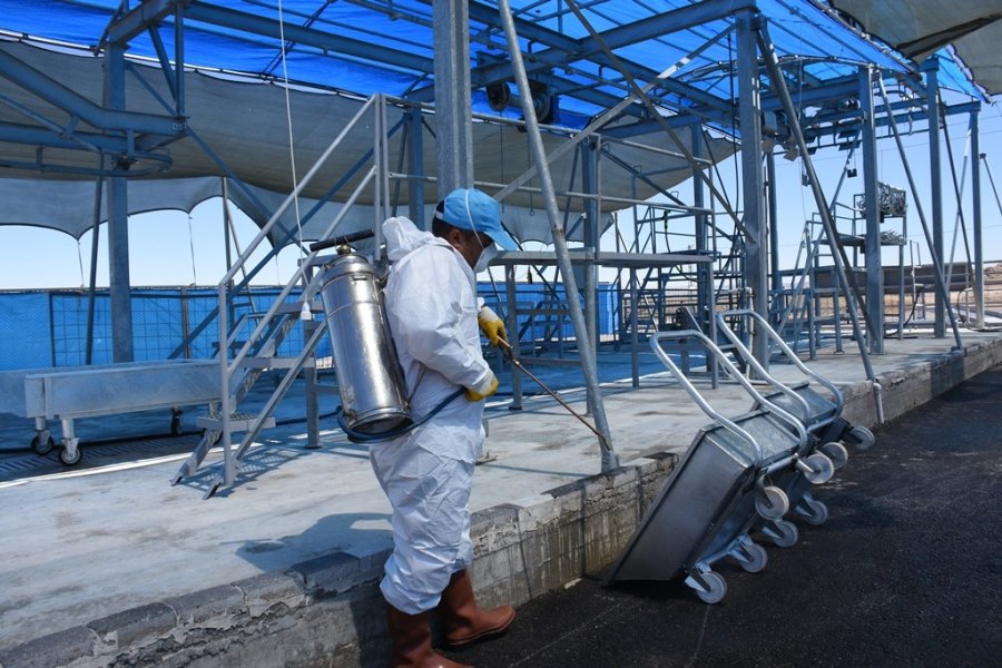 Kocasinan’dan 12 Ayrı Noktada Profesyonel Kurban Hizmeti