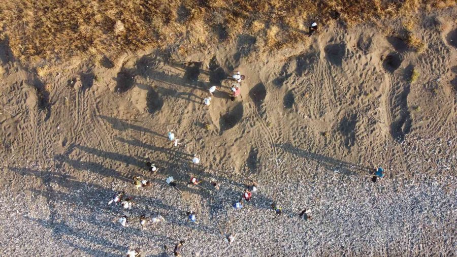 Mersin’de 4 Bine Yakın Caretta Caretta Yuvası Tespit Edildi