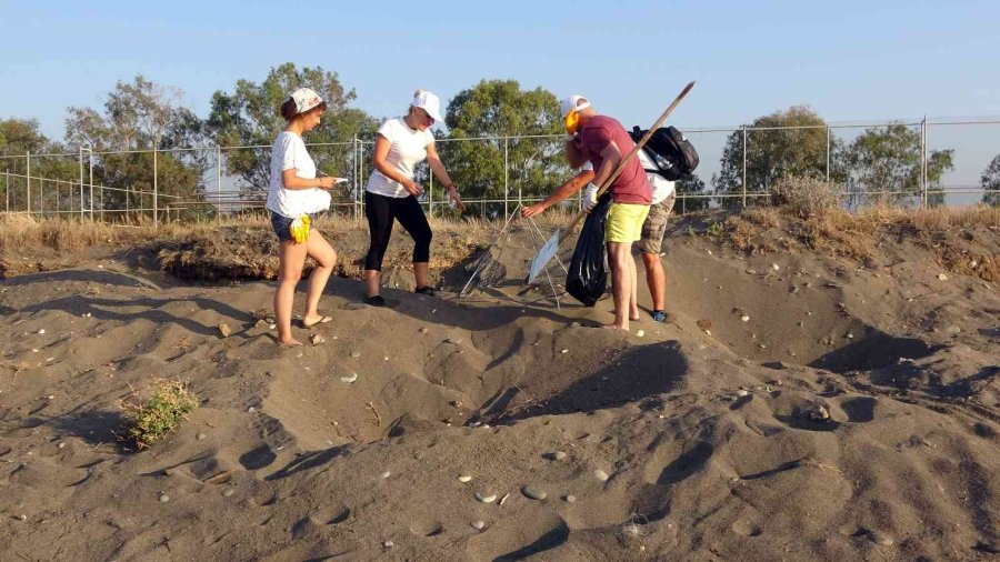 Mersin’de 4 Bine Yakın Caretta Caretta Yuvası Tespit Edildi