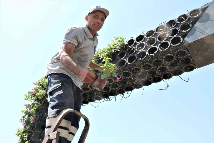 Aşırı Sıcaklar Karşısında Kuruyan Çiçekli Fotoğraf Çerçevesi, Yeniden Yeşillendi