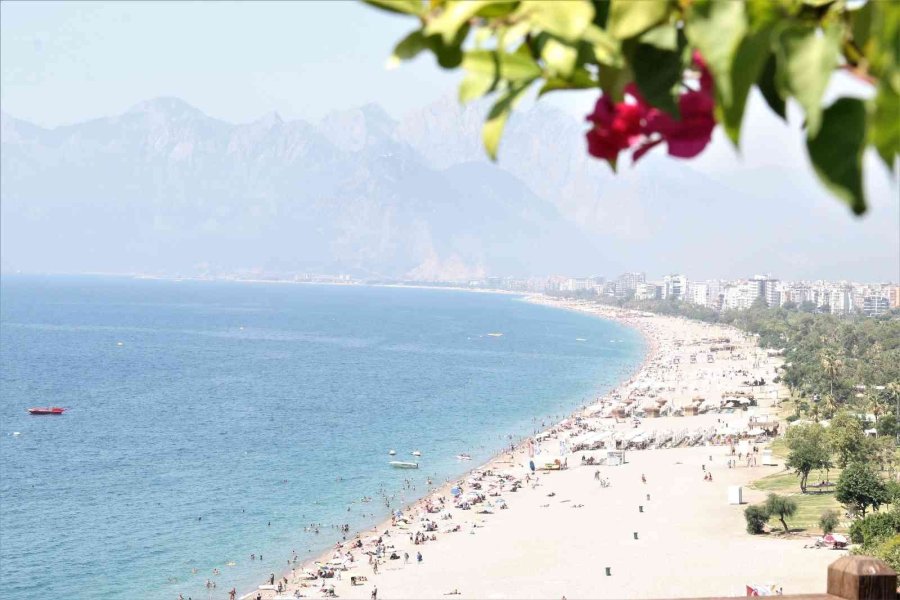 Aşırı Sıcaklar Karşısında Kuruyan Çiçekli Fotoğraf Çerçevesi, Yeniden Yeşillendi
