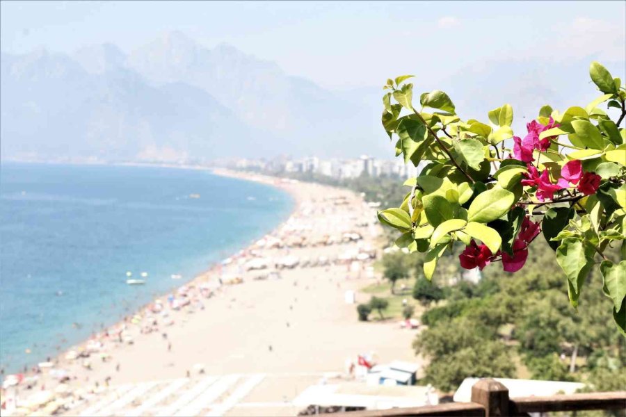 Aşırı Sıcaklar Karşısında Kuruyan Çiçekli Fotoğraf Çerçevesi, Yeniden Yeşillendi