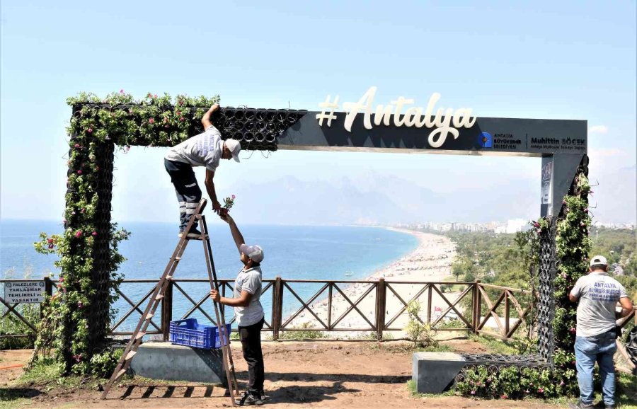 Aşırı Sıcaklar Karşısında Kuruyan Çiçekli Fotoğraf Çerçevesi, Yeniden Yeşillendi