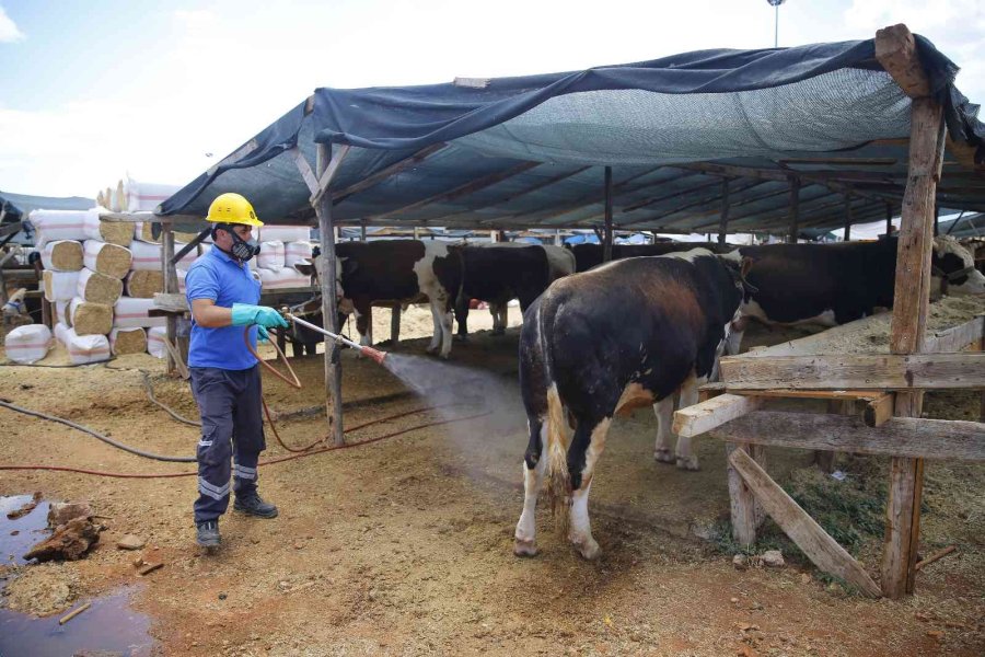Antalya Kurban Bayramı’na Hazır