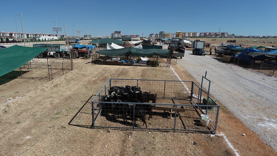 Karaman’da Kurban Satış Ve Kesim Yerleri Belirledi