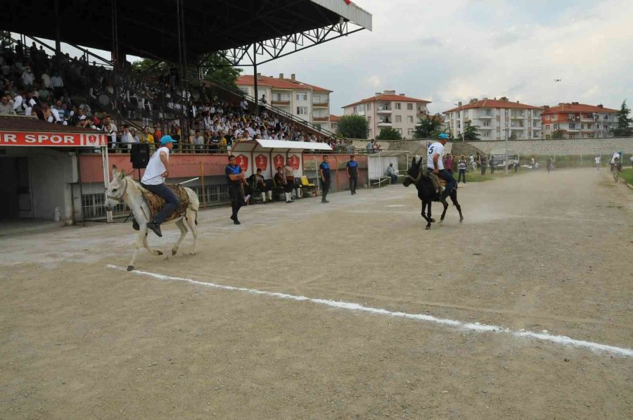 Eşekler Birincilik İçin Yarıştı