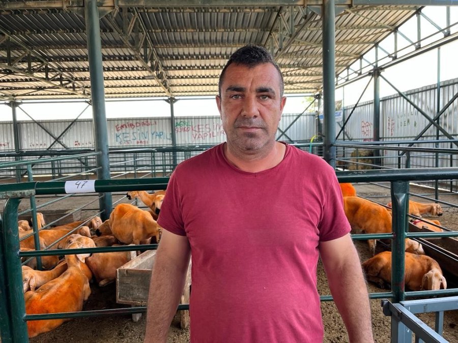 Kurban Pazarları Her Bütçeye Hitap Ediyor