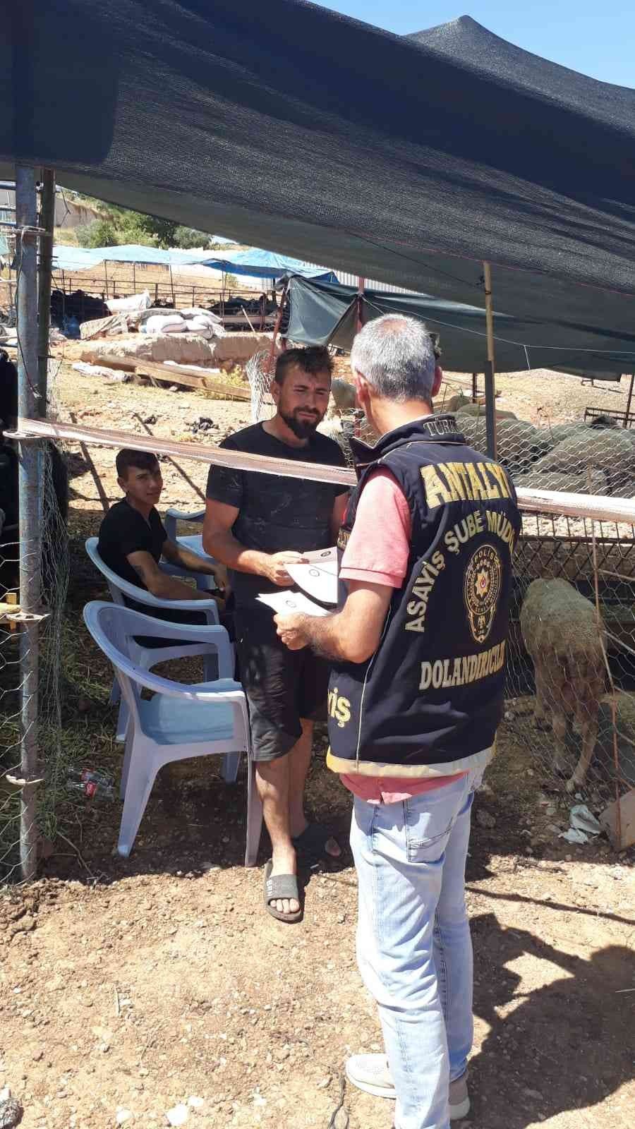 Kurban Pazarlarında Vatandaşlar Dolandırıcılığa Karşı Uyarıldı