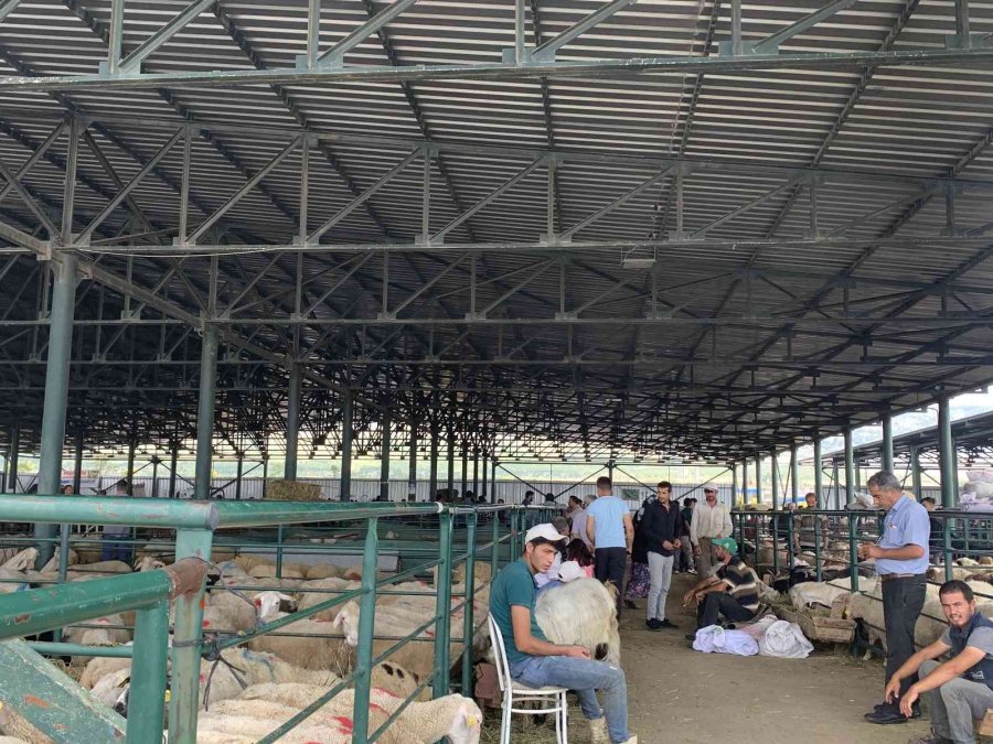 Kurban Pazarında Arefe Yoğunluğu