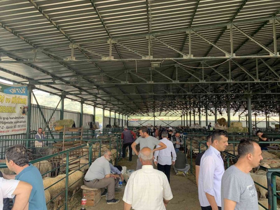 Kurban Pazarında Arefe Yoğunluğu