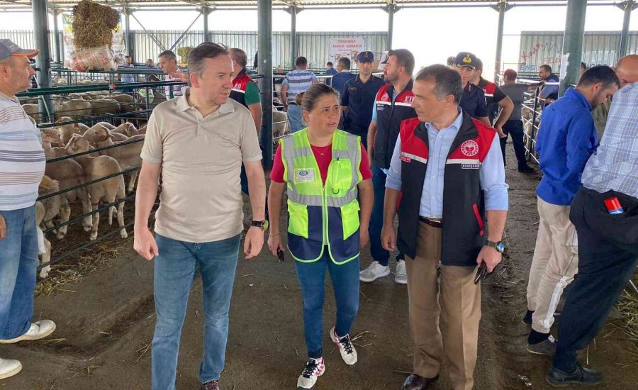 Kurban Bayramı Öncesi Hayvan Pazarı Denetimi