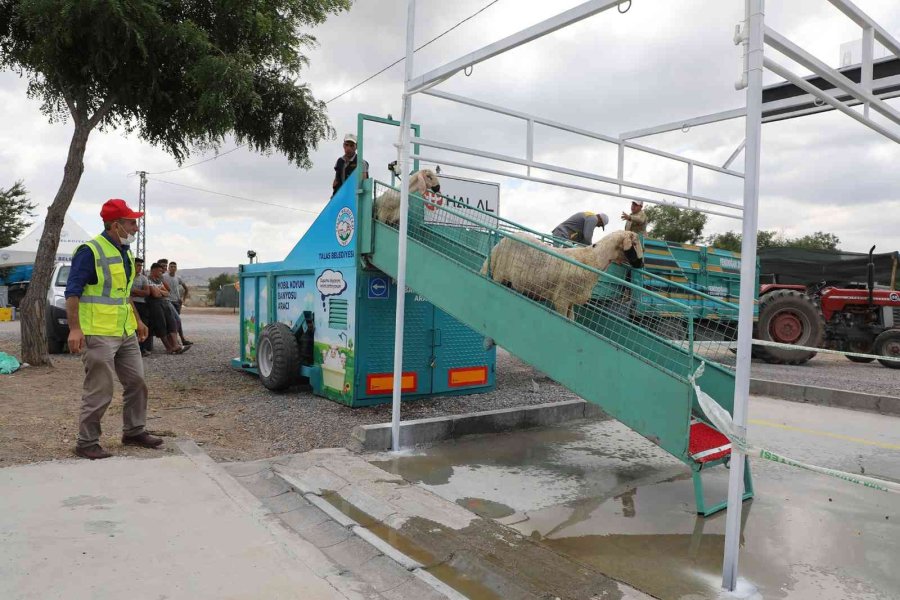 Belediye Yıkıyor, Kurbanlıklar Görücüye Çıkıyor