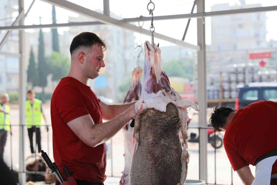Büyükşehir’den 3 Noktada Kurban Kesim Hizmeti
