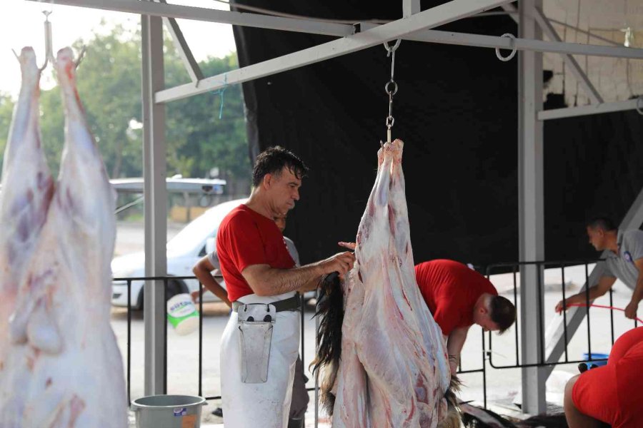 Büyükşehir’den 3 Noktada Kurban Kesim Hizmeti