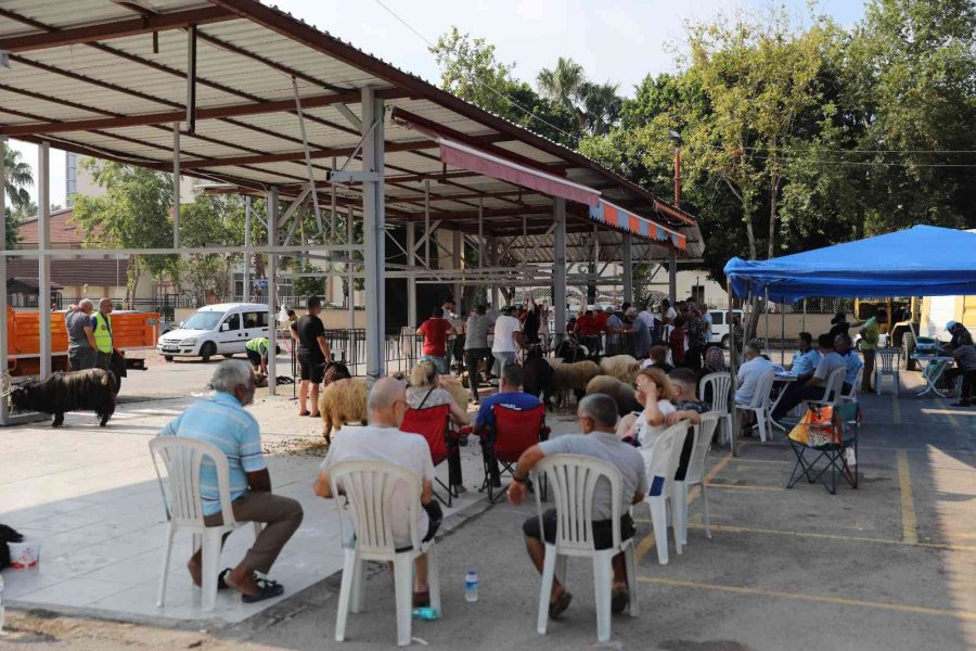 Büyükşehir’den 3 Noktada Kurban Kesim Hizmeti