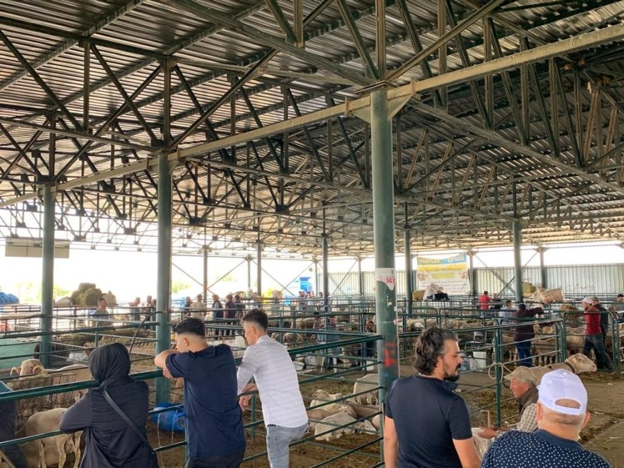 "fiyatları Biraz Düşürdükten Sonra Satışlarımız Arttı"