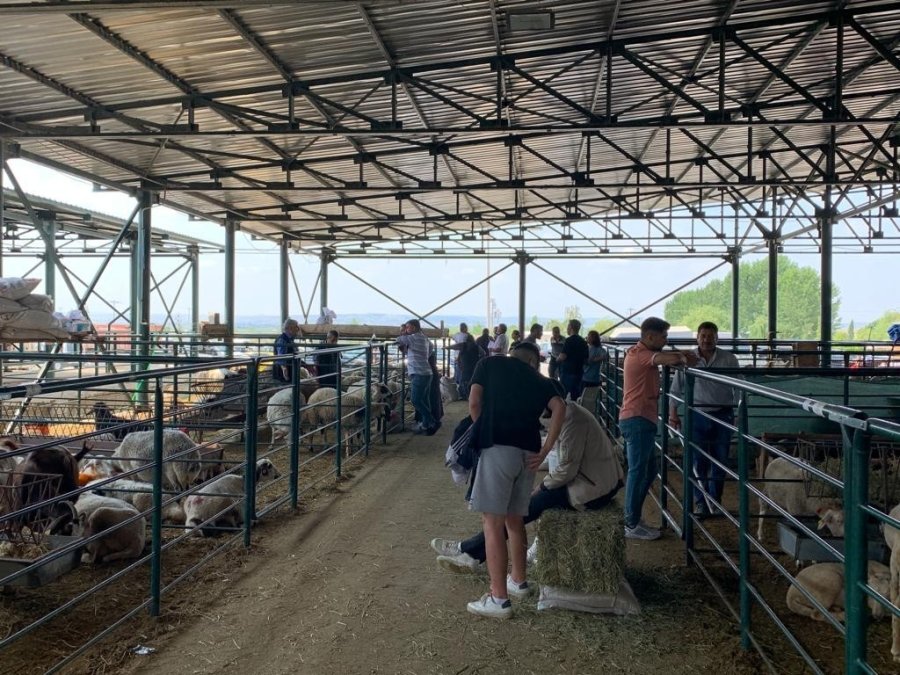 "fiyatları Biraz Düşürdükten Sonra Satışlarımız Arttı"