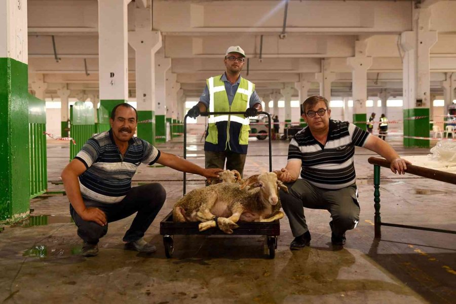 Bayram Huzuru Tepebaşı’nda