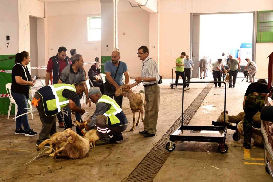 Bayram Huzuru Tepebaşı’nda