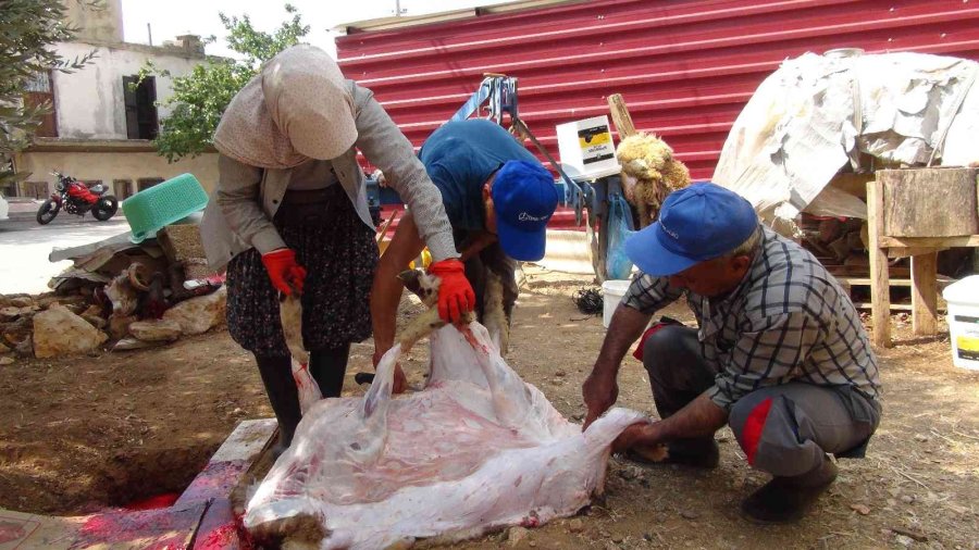 Bayramda Sahiller Boş Kaldı, Ruslar Denizin Tadını Çıkardı