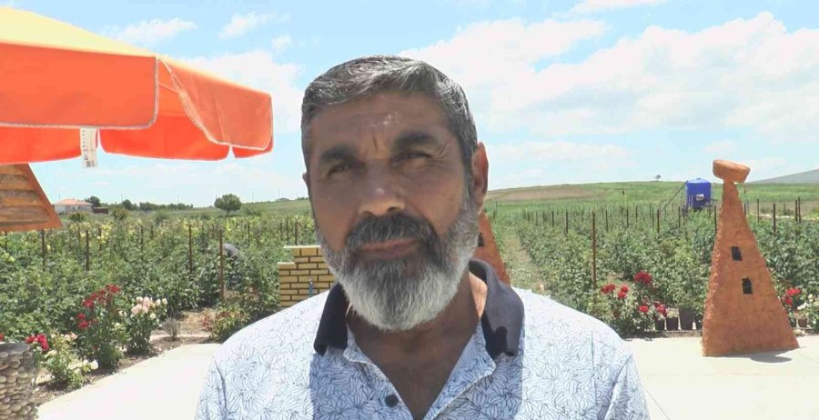 Bu Bahçenin Ziyaretçileri Meyvelerini Dalından Yiyor