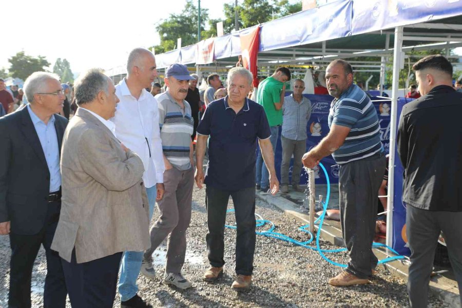 Başkan Yalçın Ve Kaymakam Dönmez Kurban Pazarını Ziyaret Etti